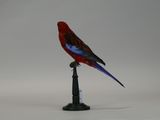 a red and blue bird sitting on top of a black pole