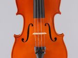 a close up of a violin on a white background