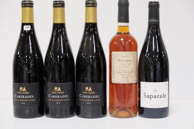 3 B - COTES DU ROUSSILLON-VILLAGES CARERADES - Mas Amiel - 2…