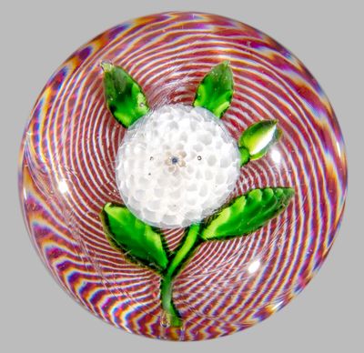une boule de verre surmontée d'une fleur blanche