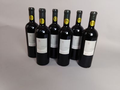 six bouteilles de vin sont alignées sur une surface blanche