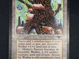 une image représentant une carte sur laquelle figure un arbre