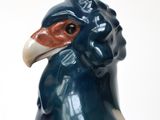 a blue and orange bird that is sitting on a table