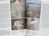 an open book with pictures of people and animals in it