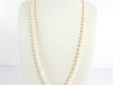 a close up of a necklace on a mannequin mannequin