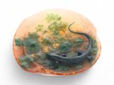 un petit lézard perché sur un coquillage