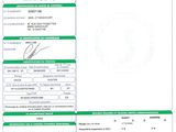 a green and white document with a picture of a person on it