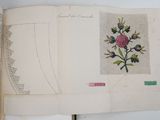 a book with a picture of a flower on it