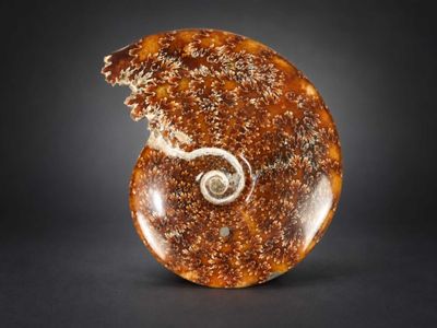 une image représentant une sculpture en pierre ornée d'un motif en spirale