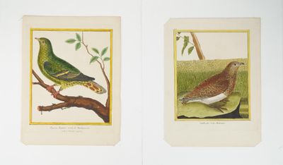 deux oiseaux assis sur une branche d'arbre