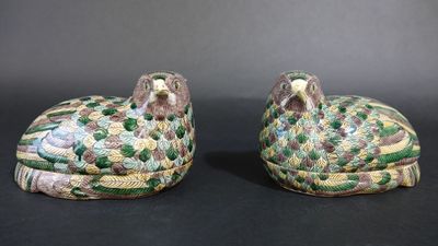 deux oiseaux verts et jaunes, perchés l'un sur l'autre