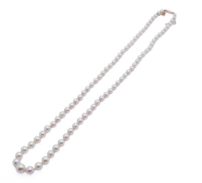 a close up of a white pearl necklace on a white background