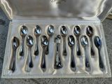 six spoons in a box with a case on the ground
