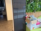 un mur vert derrière un banc vert dans une pièce
