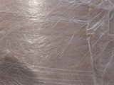 a close up of a plastic bag with a cat in it