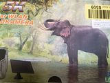 a picture of an elephant that is in a box