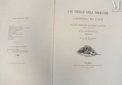 un livre ouvert sur lequel figure l'image d'une souris