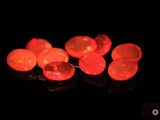 several pieces of red fire oplite sit on a black surface