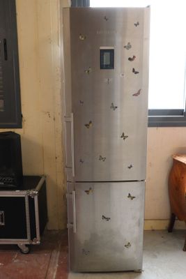 a silver refrigerator with butterflies on it in a room