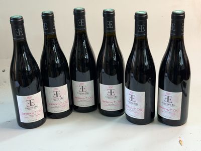 6 bouteilles SANTENAY 1er Cru 2015 Eugène Thorey