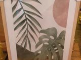 la photo d'une photo représentant une plante dans un cadre