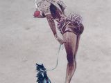 tableau représentant une femme avec un chien en laisse sur le sable