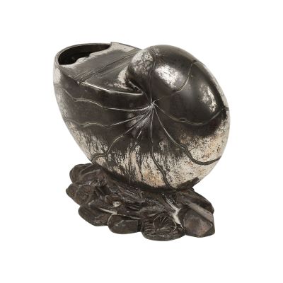 a black vase with a fish on it on a white background