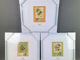 three framed pictures of birds and flowers on a gray wall
