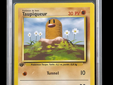 an image of a pokemon card with a picture of a potato on it