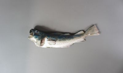 un poisson posé sur une table