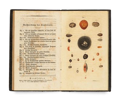 un livre ouvert sur lequel sont disposés divers types de coquillages