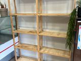 a shelf that has a bunch of plants on it