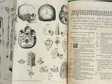 an open book with a drawing of a human skeleton