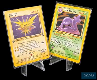 deux cartes Pokémon exposées sur un fond noir