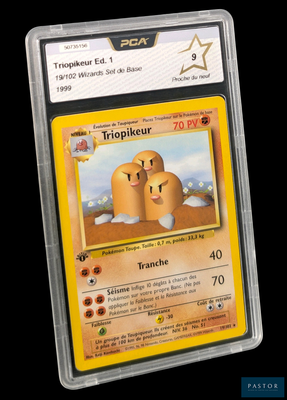 carte à collectionner Pokémon sur laquelle figure l'image d'une paire d'œufs