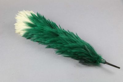 a green and white feather that is laying on a table