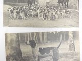 deux vieilles photos en noir et blanc représentant des chiens devant un immeuble