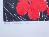 a picture of a red flower on a black and white background