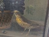 two birds that are standing next to each other in a picture