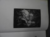 Photo 3/4 du lot