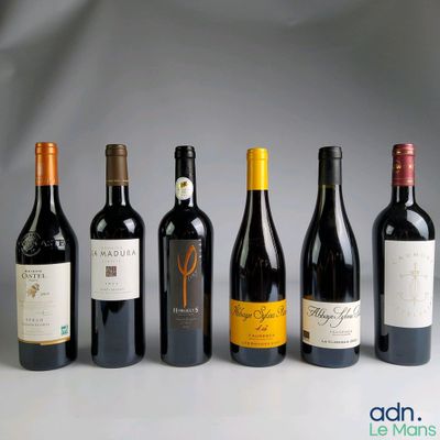 six bouteilles de vin rouge sont alignées