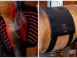 two pictures of a horse with a harness on it ' s back
