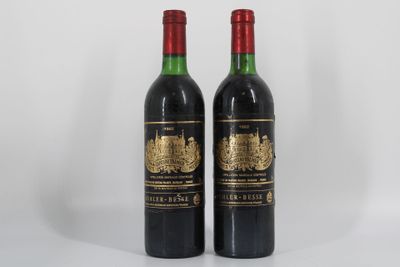 deux bouteilles de vin rouge posées l'une à côté de l'autre sur une surface blanche