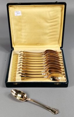 silverware in a case with spoons and spoon rest on a table