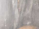 a picture of a skull in the window of a house