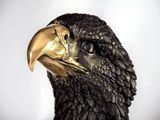a statue of an eagle with a golden beak