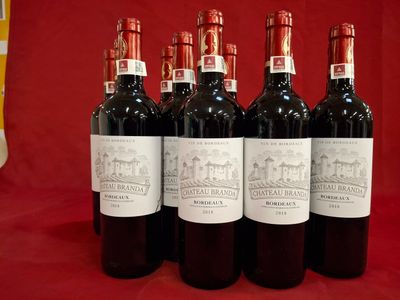 12 Bouteilles Château Branda 2018 Grand vin de Bordeaux Domaine SAS de - Photo 1
