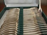 a lot of spoons and forks in a green case