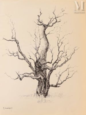 dessin représentant un arbre nu dans un champ, sur lequel est perché un oiseau