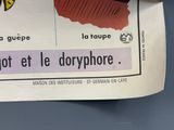 Photo 5/9 du lot